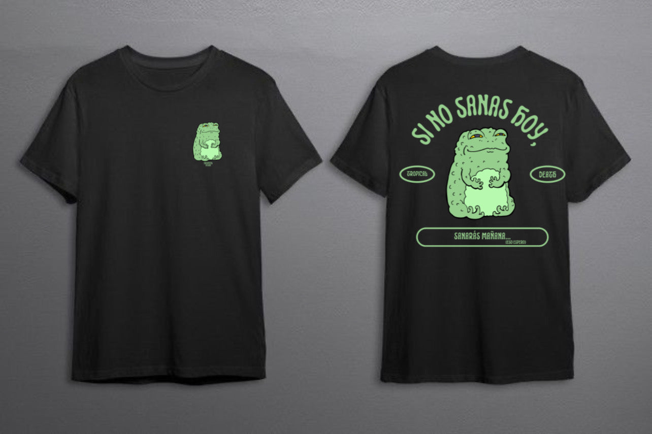 Si No Sanas Hoy, Sanarás Mañana