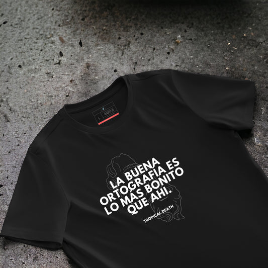 La Buena Ortografía Es Lo Más Bonito Que Ahi