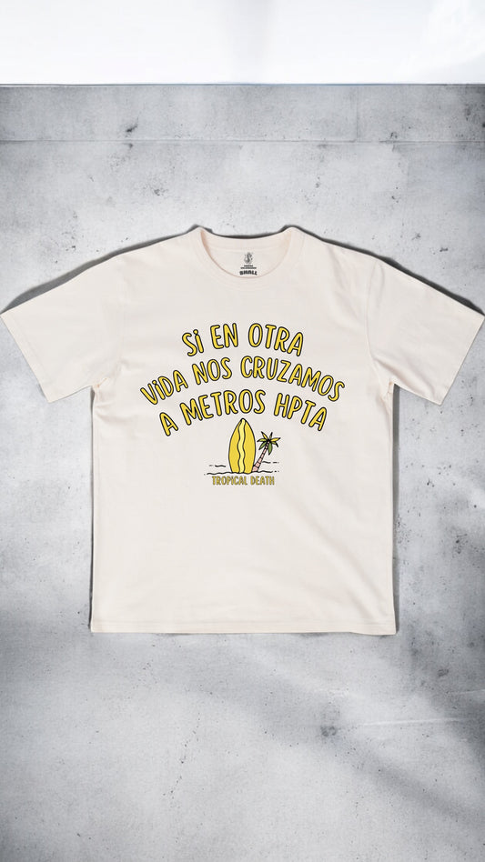 Si En Otra Vida Nos Cruzamos  A Metros Palmera