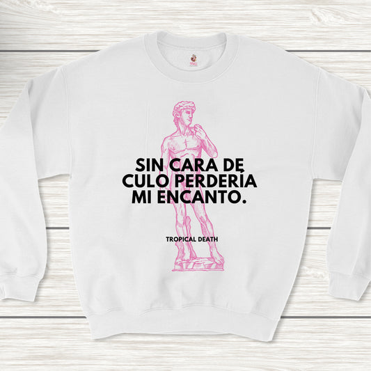 Sin Cara De Culo Perdería Mi Encanto