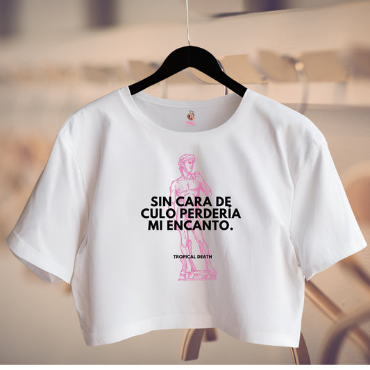 Sin Cara De Culo Perdería Mi Encanto